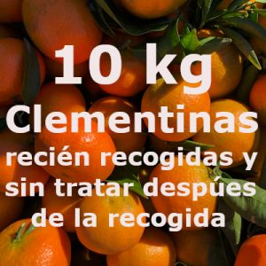 10kg Mandarinas recién recogidas