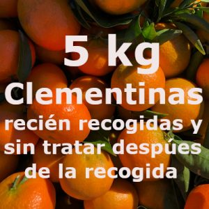 5kg Mandarinas recién recogidas